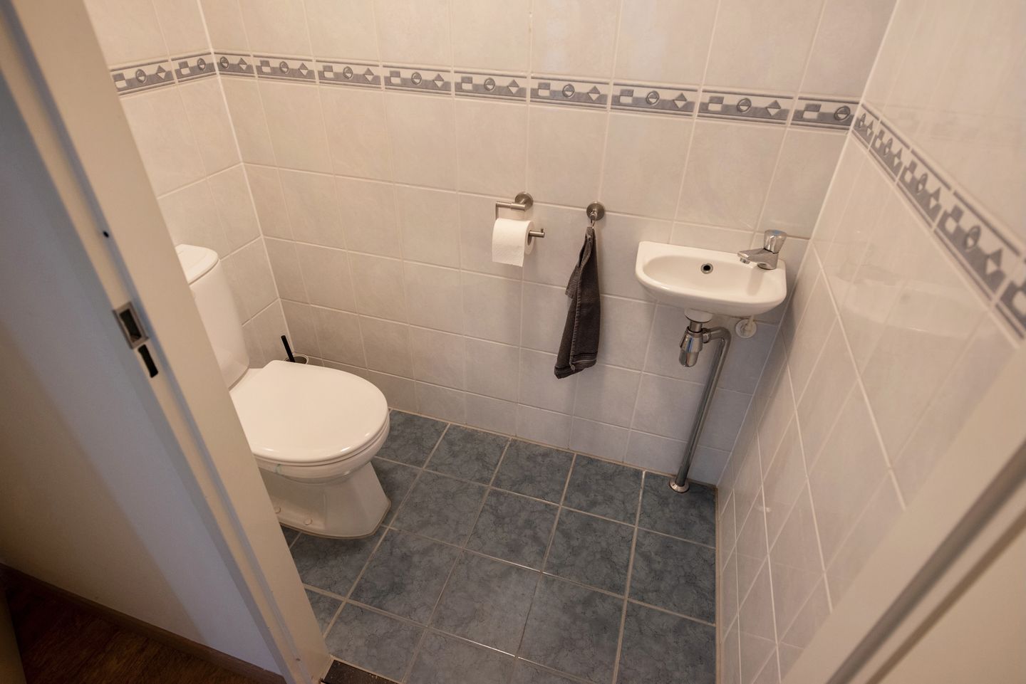 Foto 25 van Pluimzegge 52