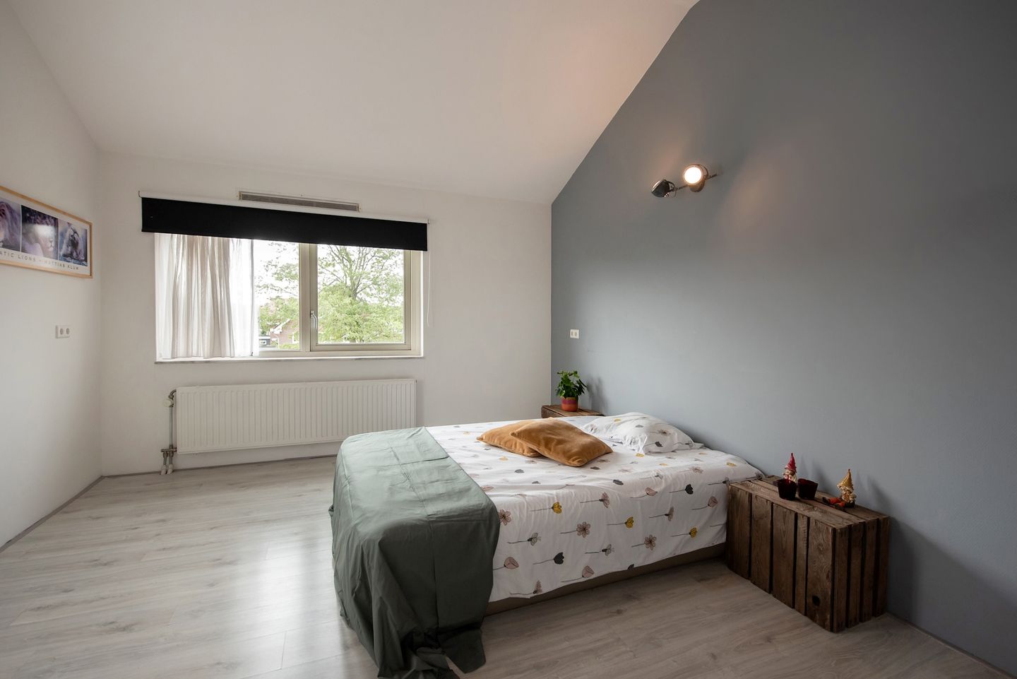 Foto 29 van Pluimzegge 52