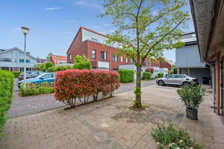 Foto 32 van Pluimzegge 52