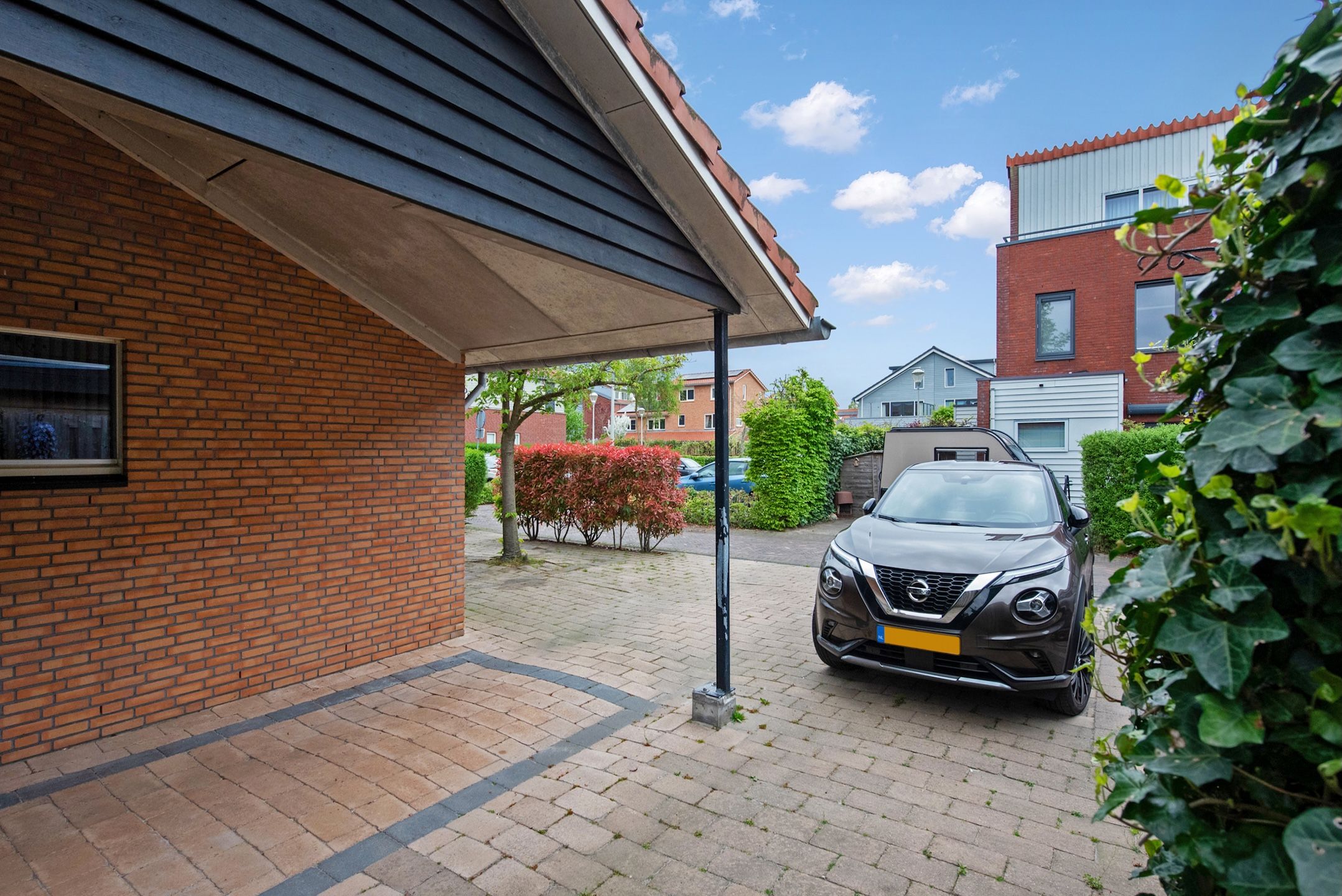 Foto 33 van Pluimzegge 52