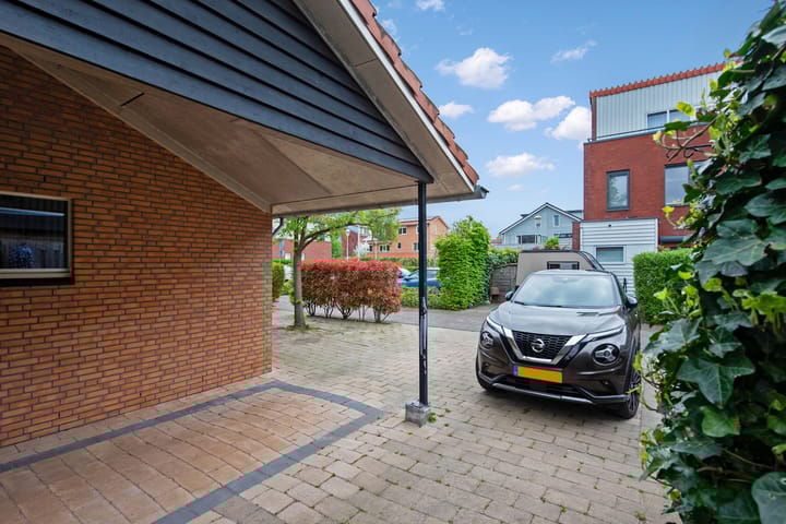 Foto 33 van Pluimzegge 52