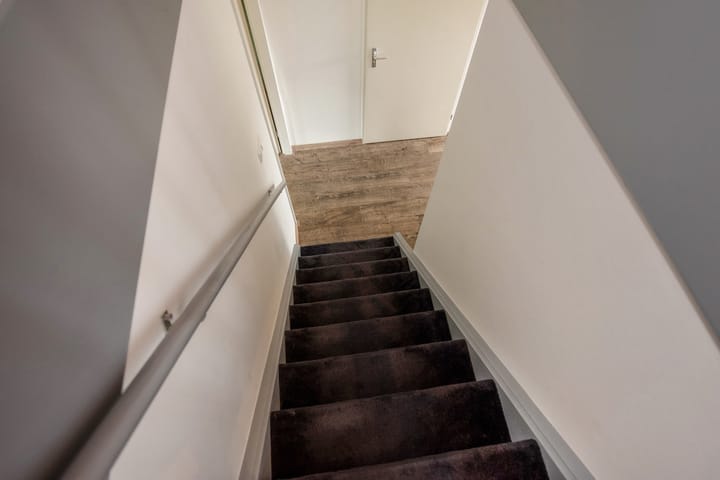 Foto 16 van Pluimzegge 52