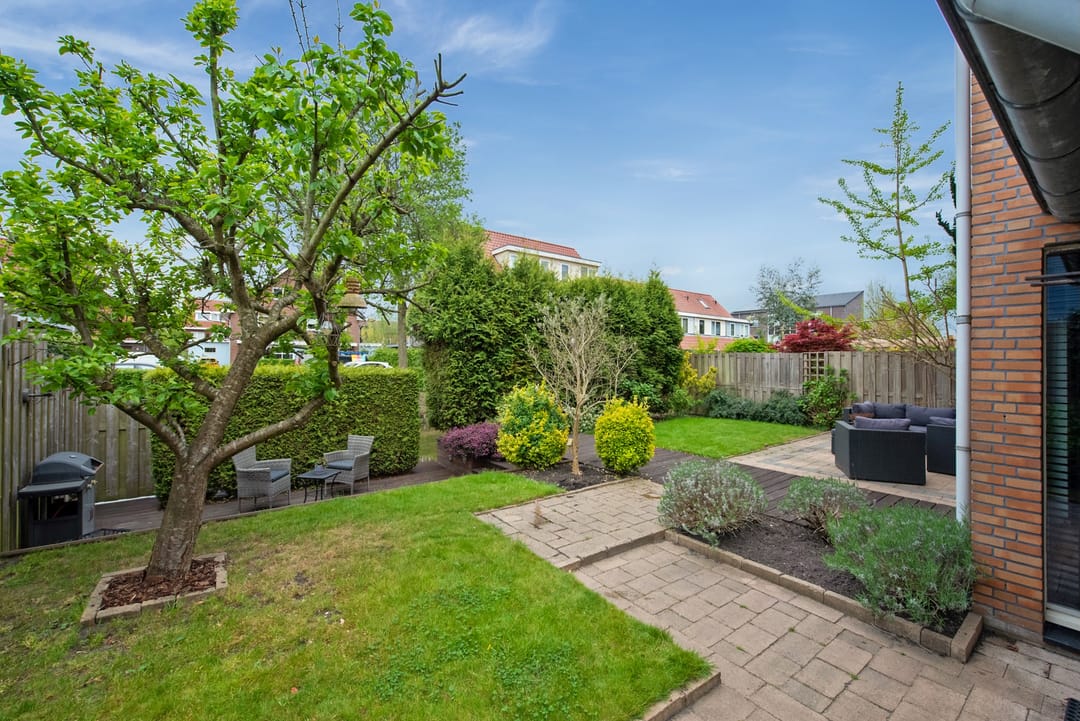 Foto 37 van Pluimzegge 52