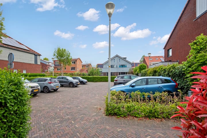 Foto 40 van Pluimzegge 52