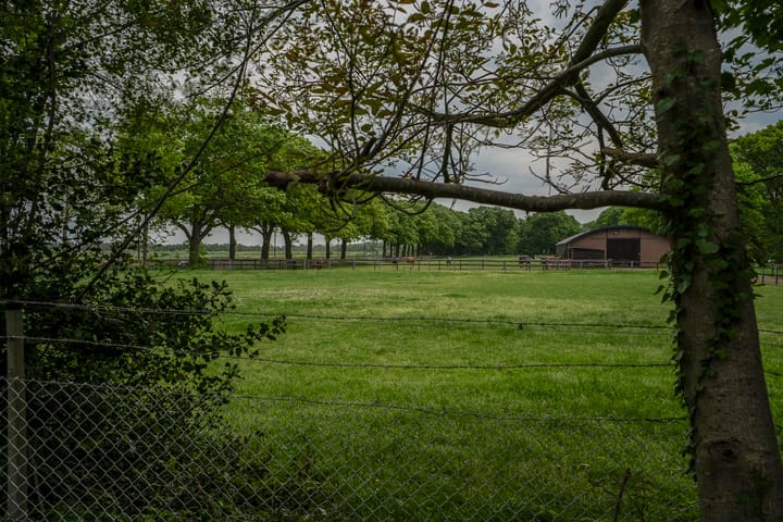 Foto 101 van Turfstrooisel 6