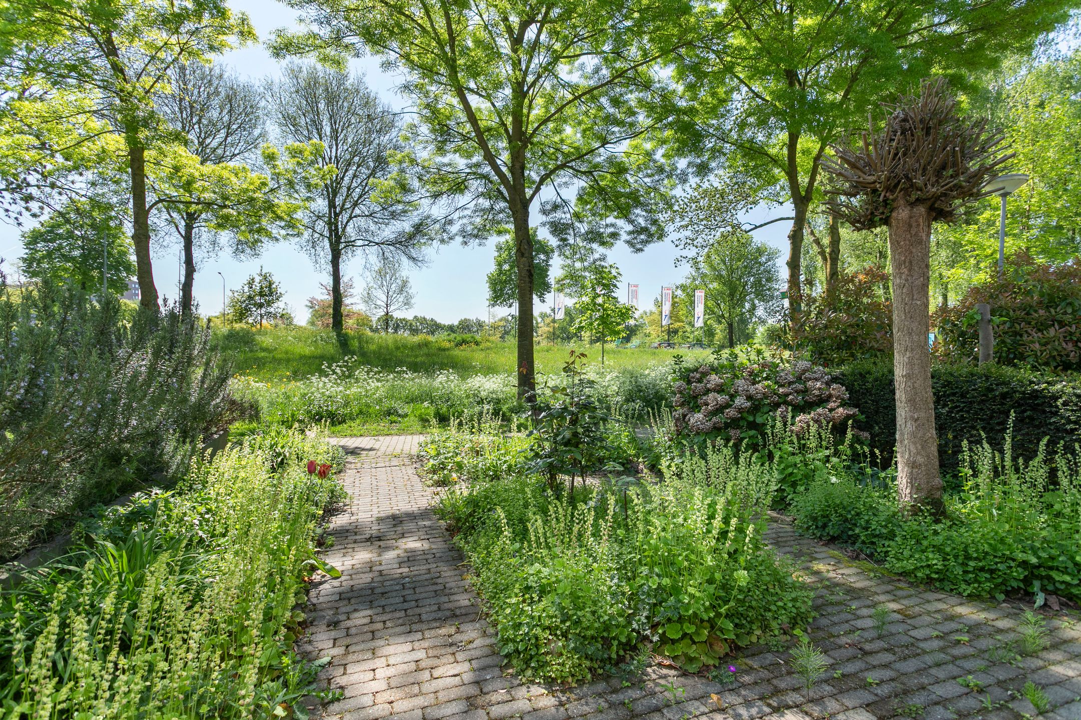 Foto 39 van Negende Reit 86