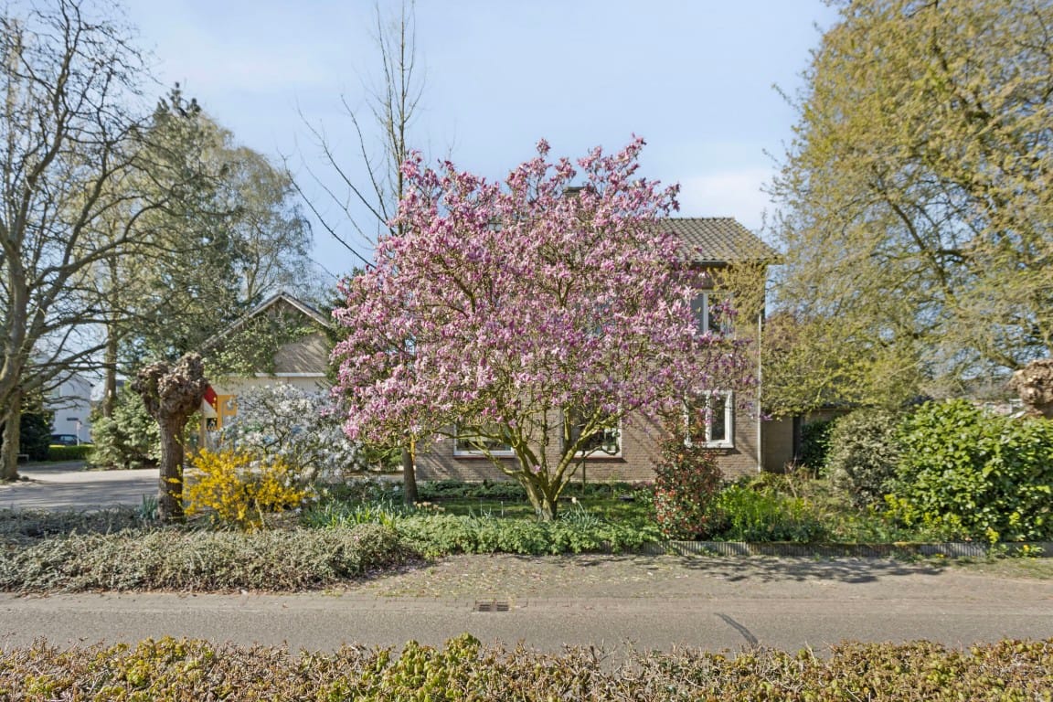 Photo 5 of Oude Breestraat 44