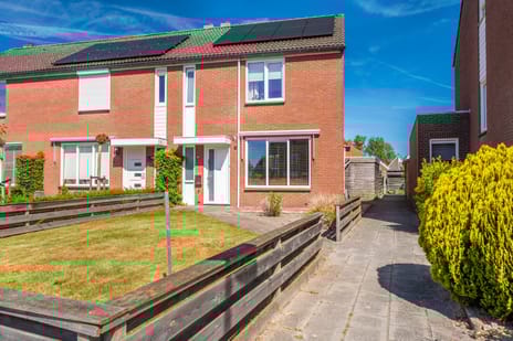 undefined main image