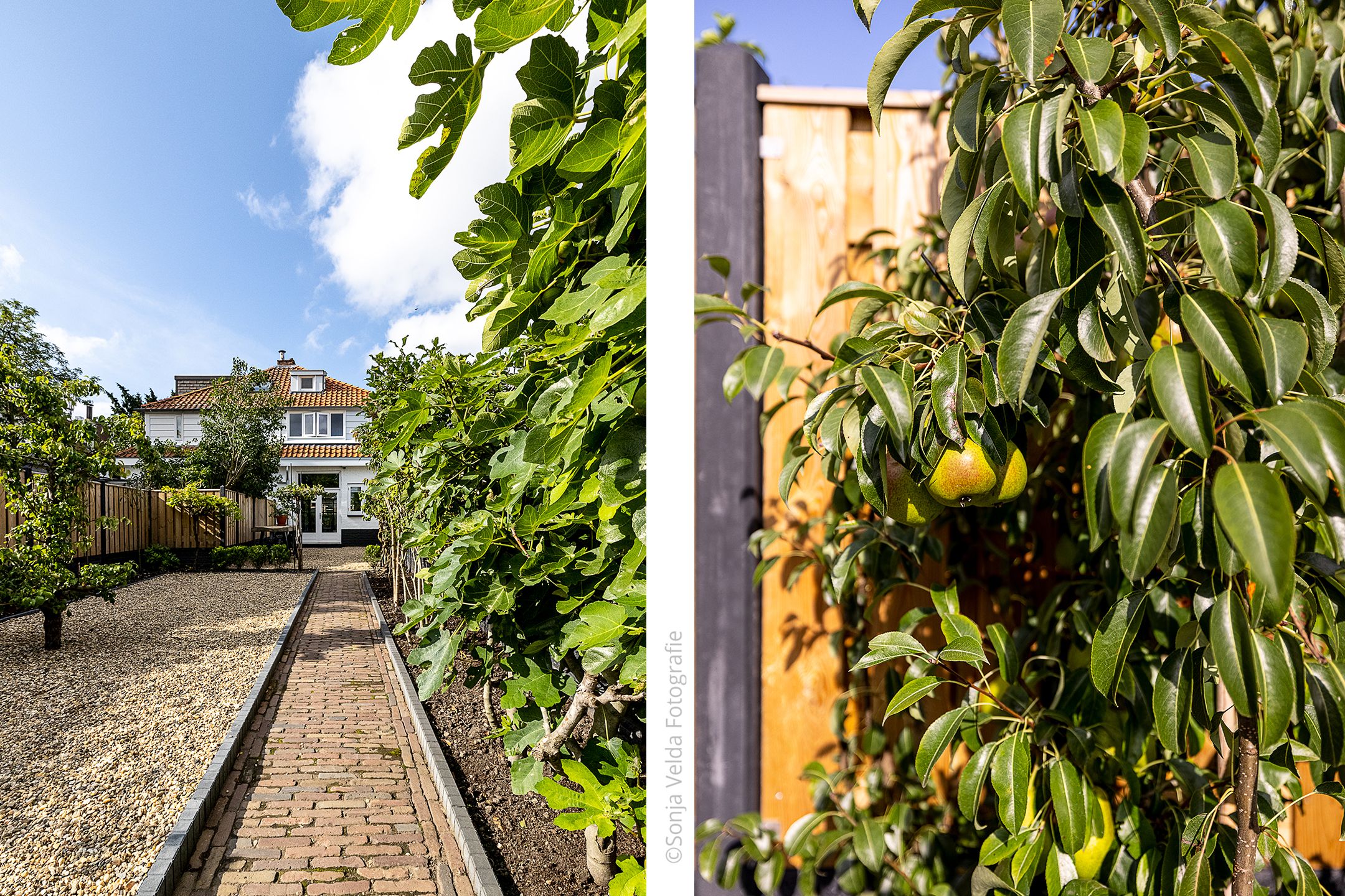 Foto 30 van Olmenlaan 149