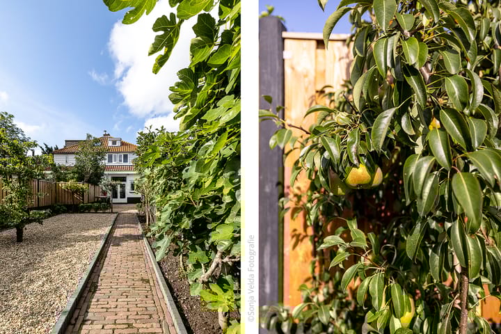 Foto 30 van Olmenlaan 149