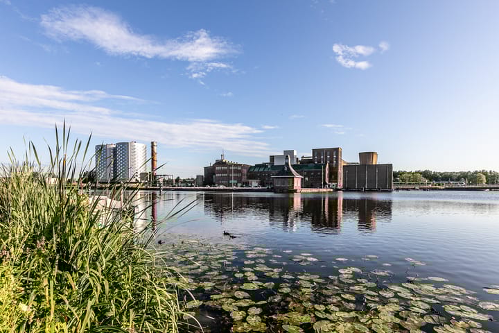 Foto 37 van Olmenlaan 149