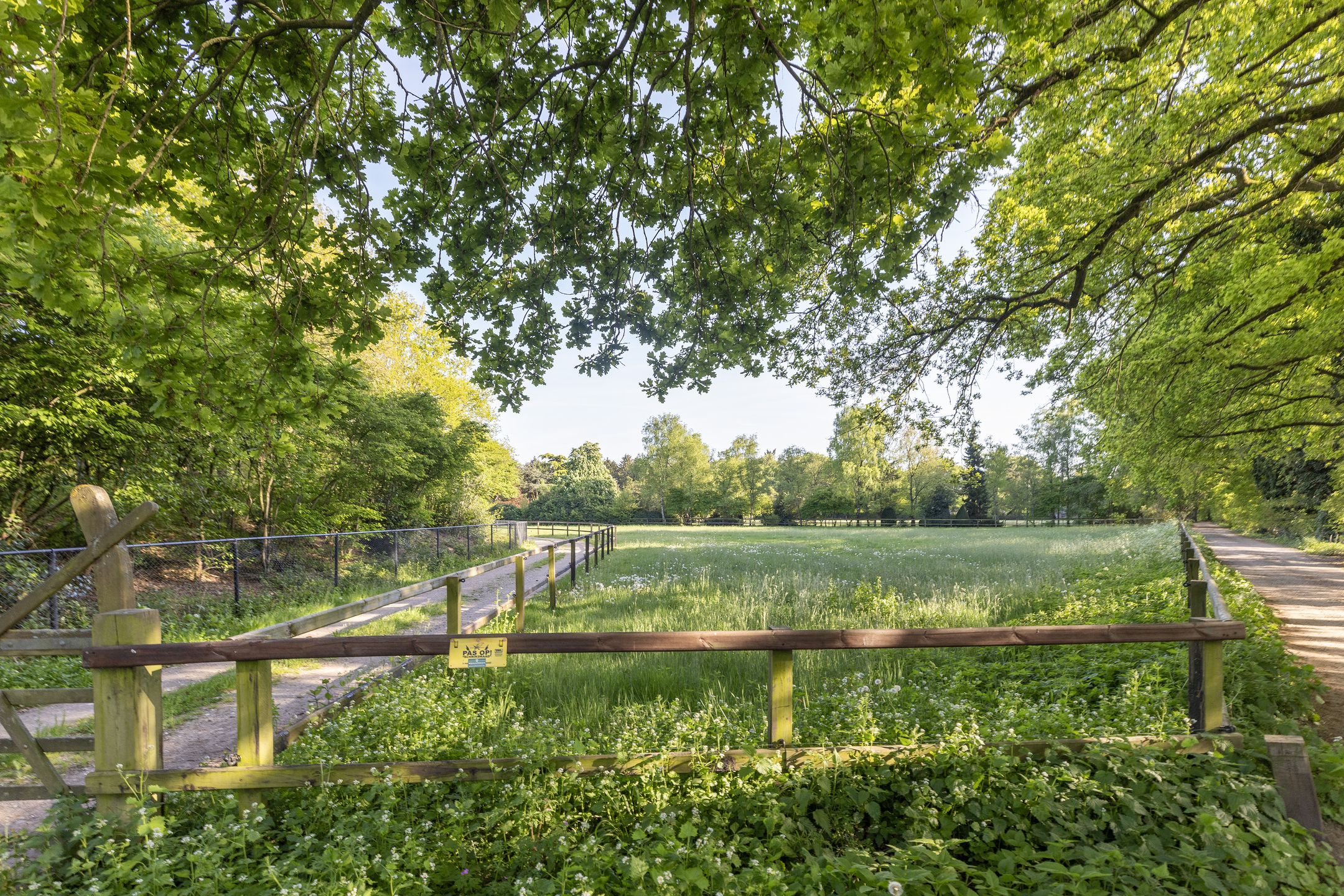 Foto 48 van Smeekweg 22