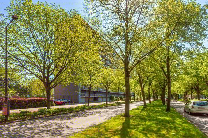 Foto 4 van Holysingel 84