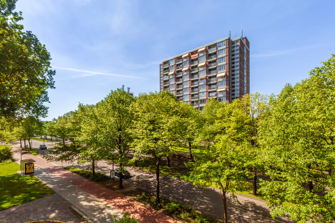 Foto 13 van Holysingel 84