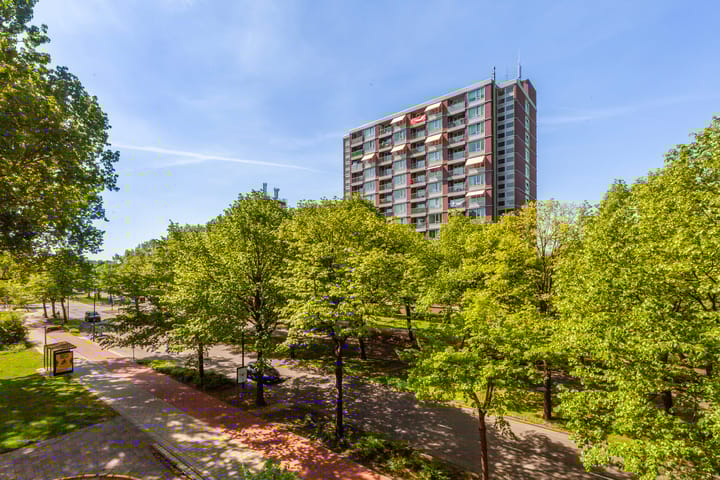 Foto 13 van Holysingel 84