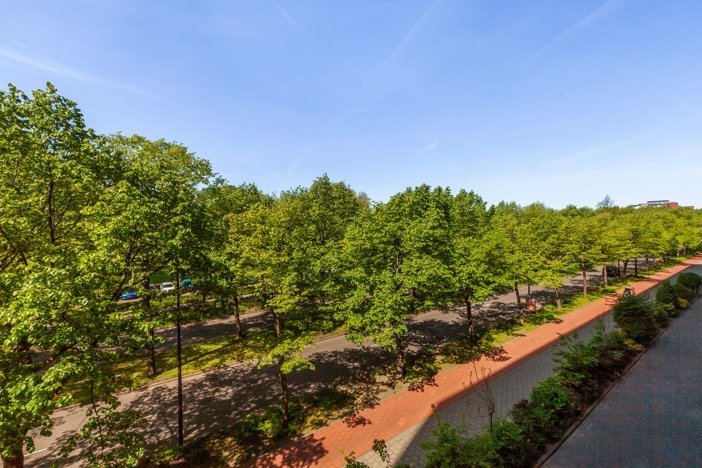 Foto 14 van Holysingel 84