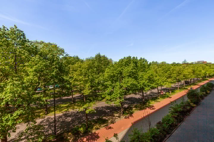 Foto 14 van Holysingel 84