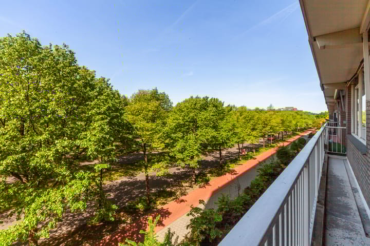 Foto 15 van Holysingel 84