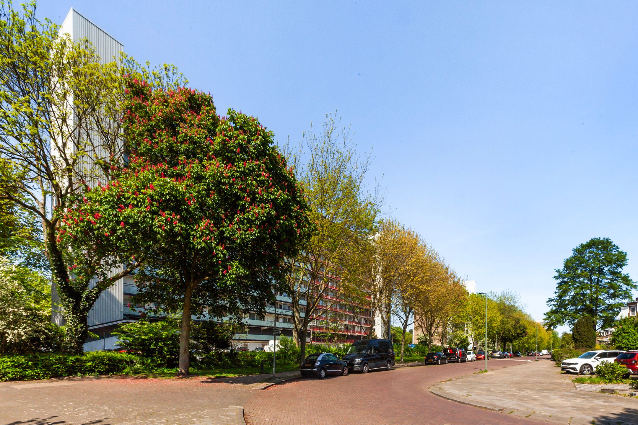 Foto 30 van Holysingel 84