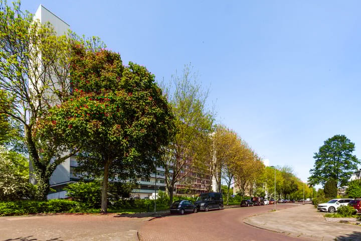 Foto 30 van Holysingel 84