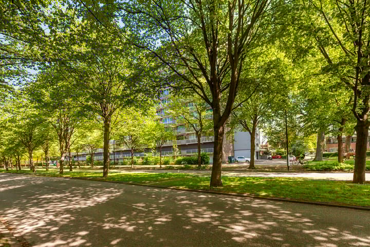 Foto 31 van Holysingel 84