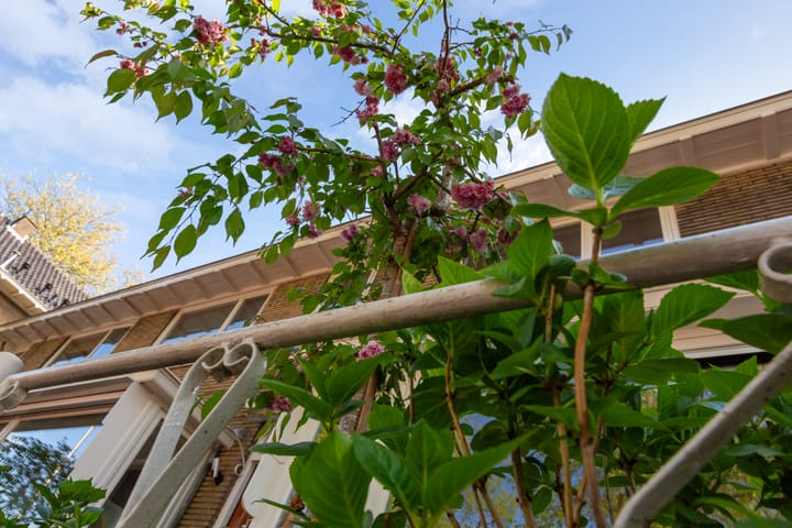 Foto 50 van Julianaweg 208