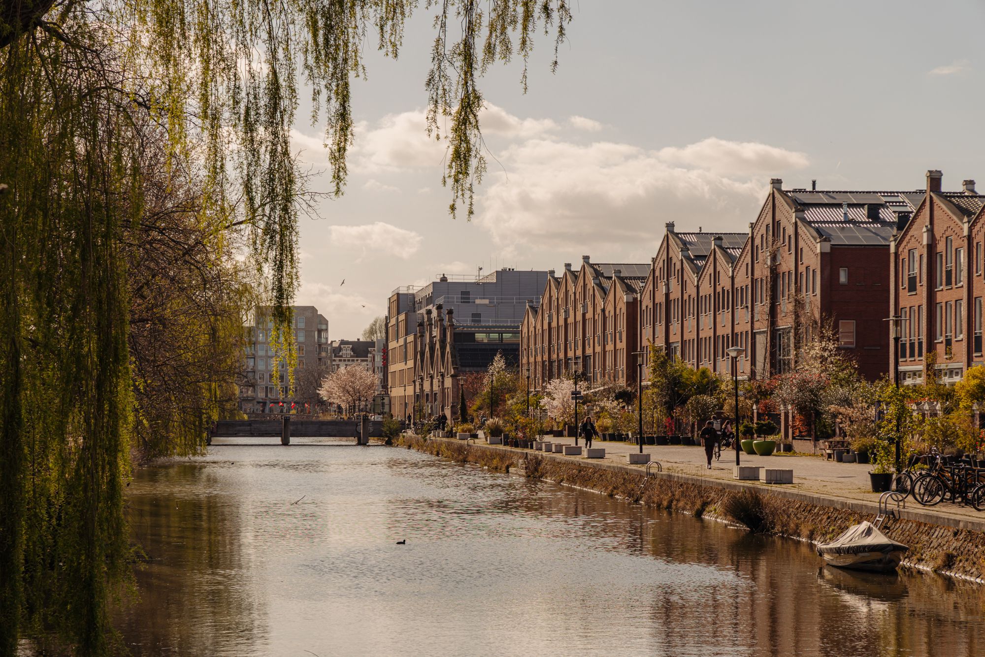 Foto 21 van Hogeweg 132-3