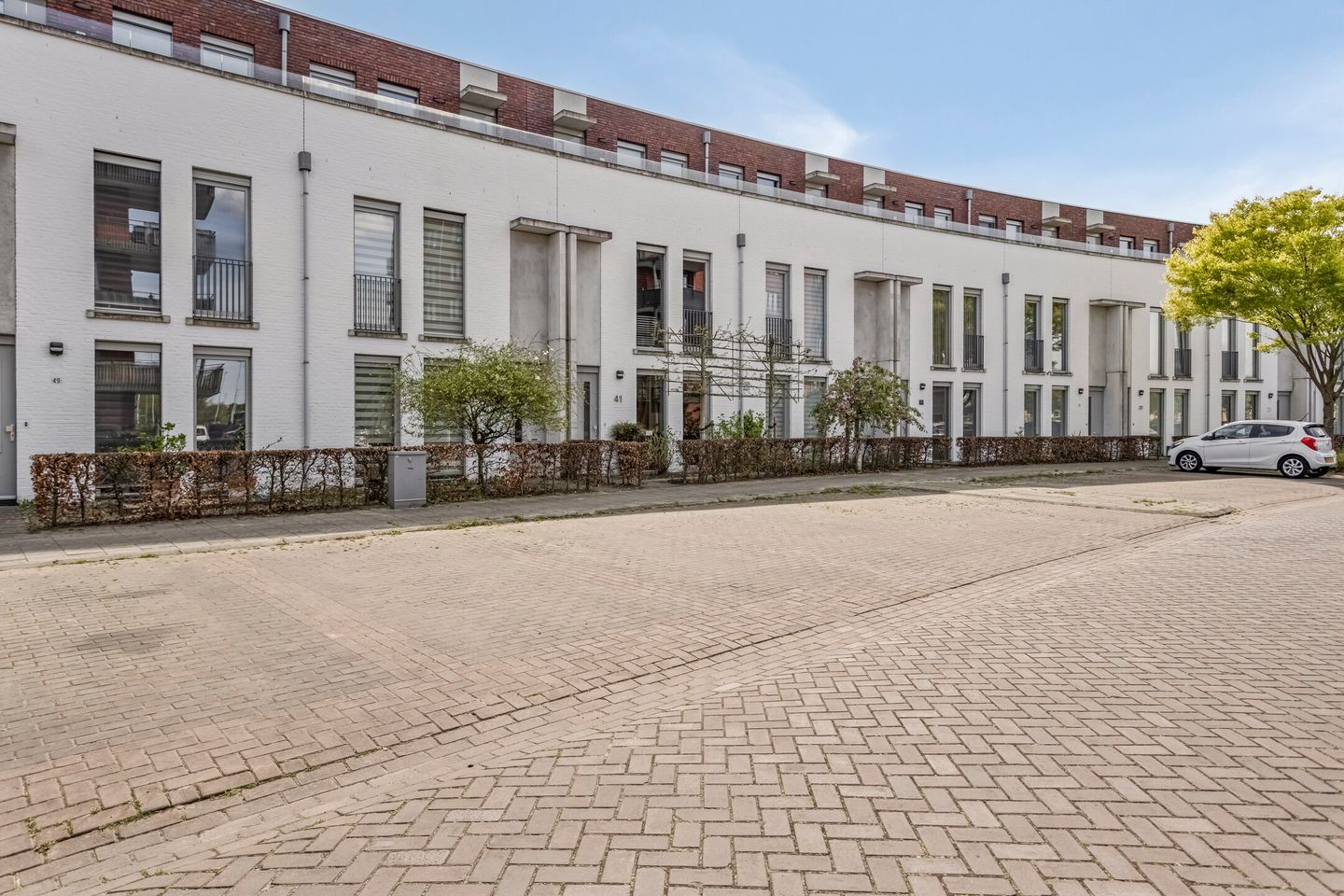 Foto 4 van Eekhoorn 41