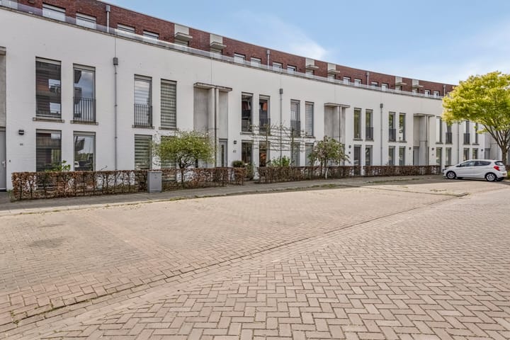 Foto 4 van Eekhoorn 41