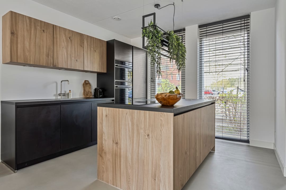 Foto 11 van Eekhoorn 41