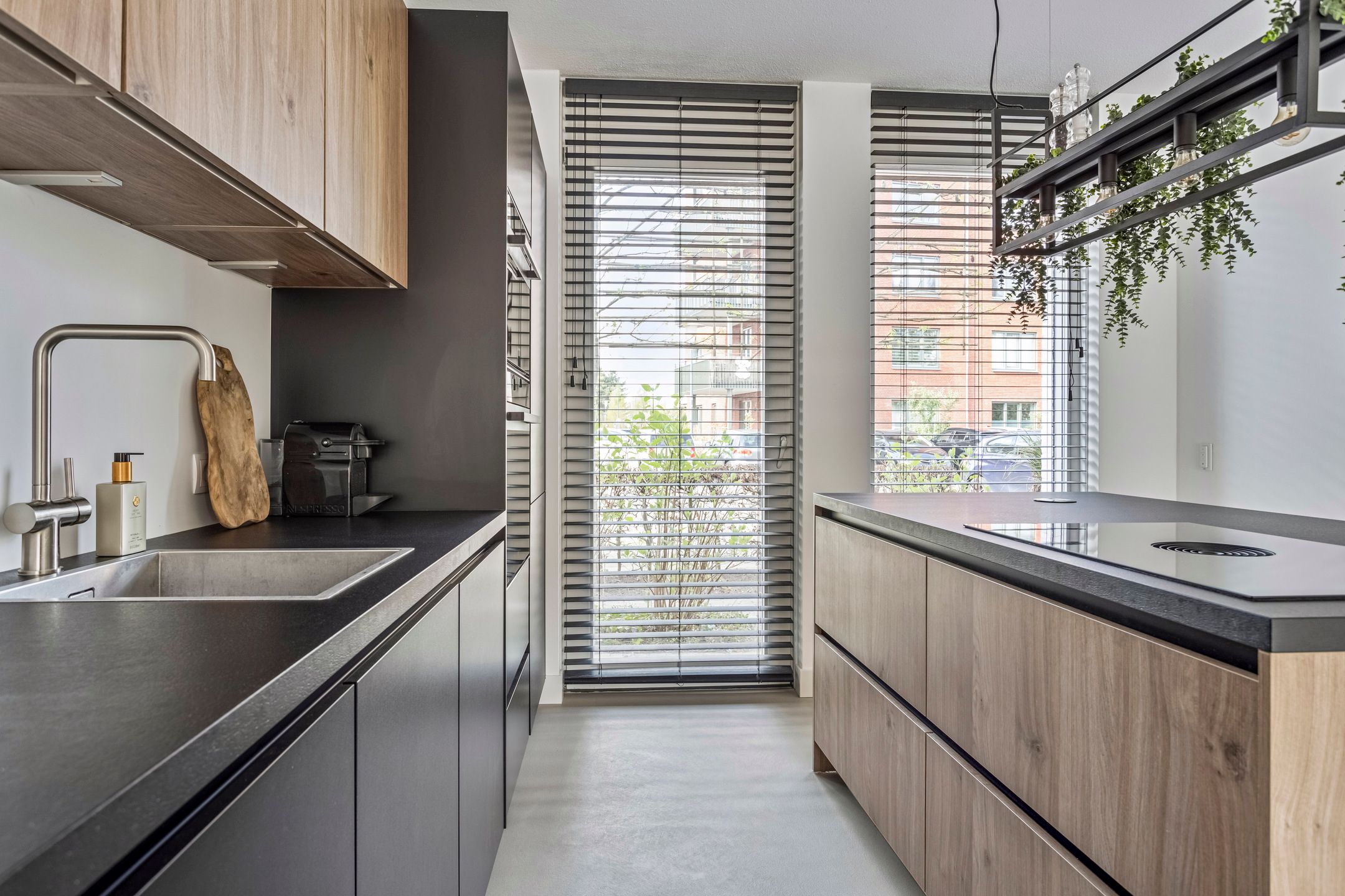 Foto 12 van Eekhoorn 41