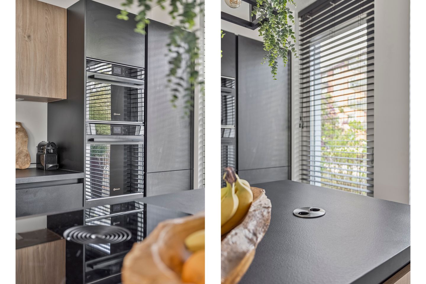 Foto 14 van Eekhoorn 41