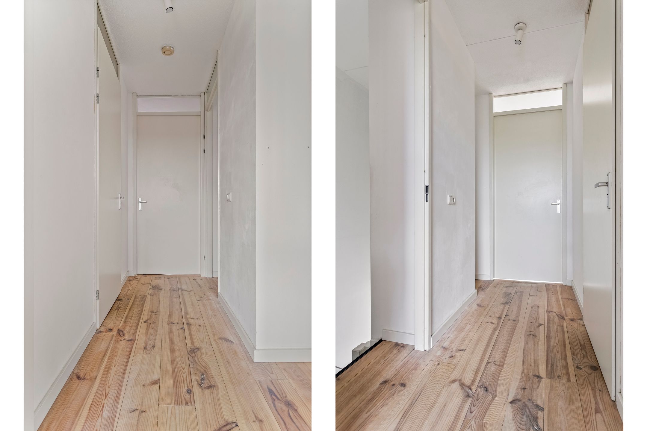 Foto 15 van Eekhoorn 41