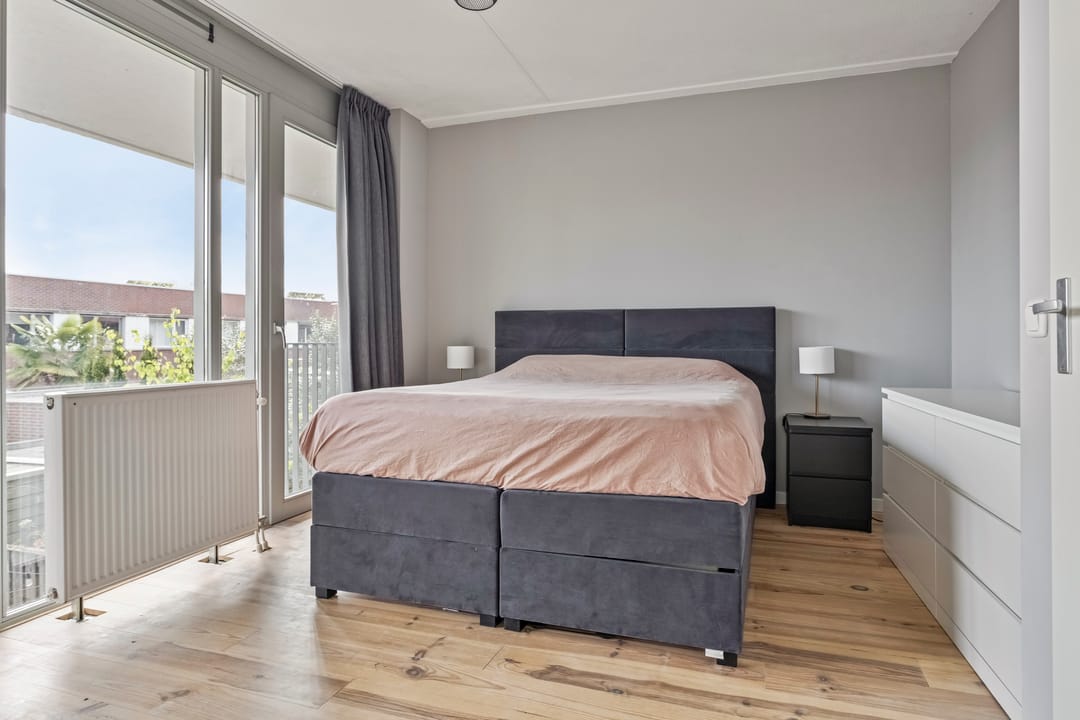 Foto 16 van Eekhoorn 41