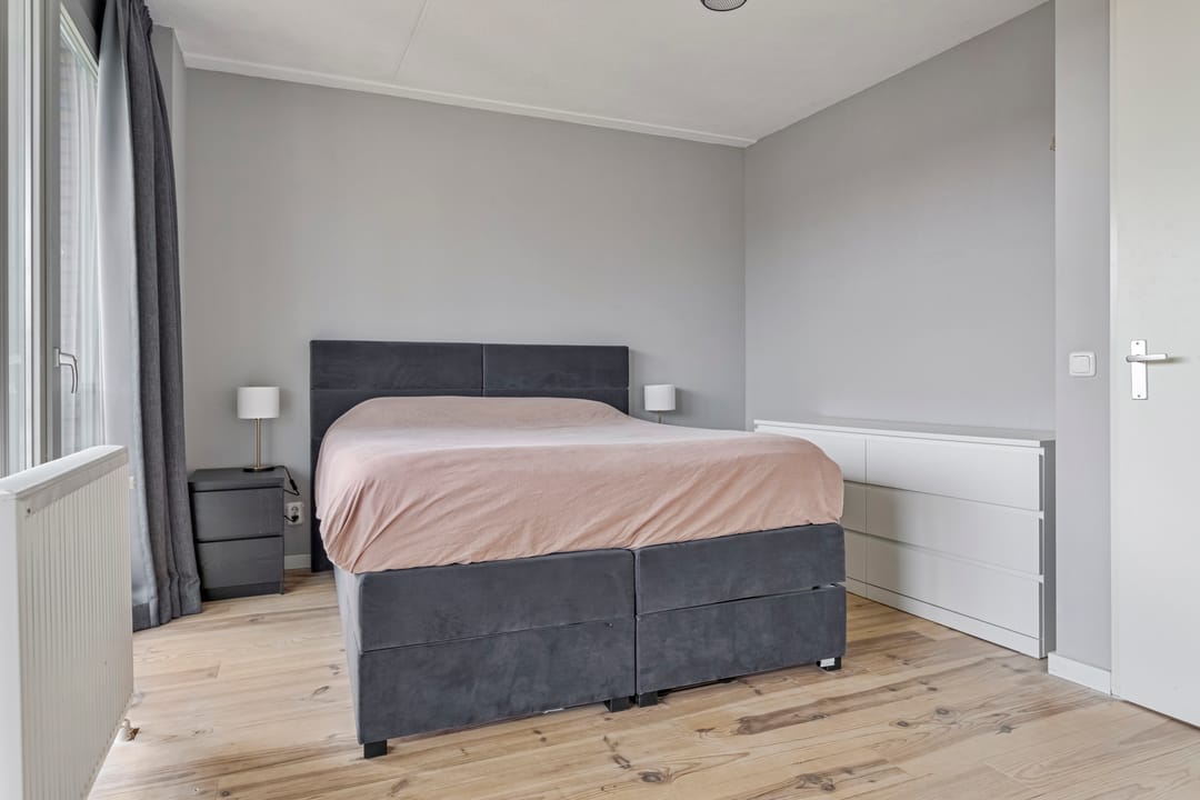 Foto 17 van Eekhoorn 41