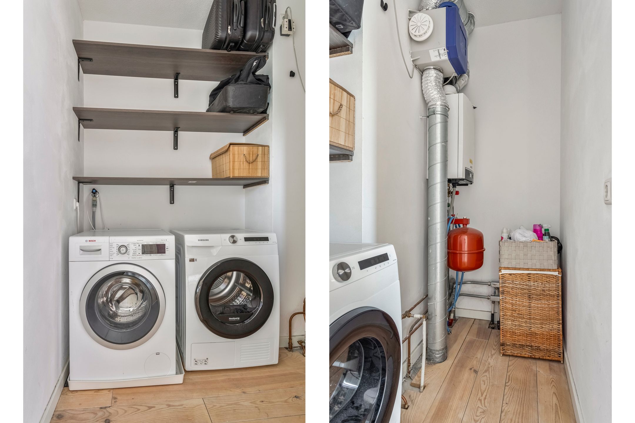 Foto 24 van Eekhoorn 41