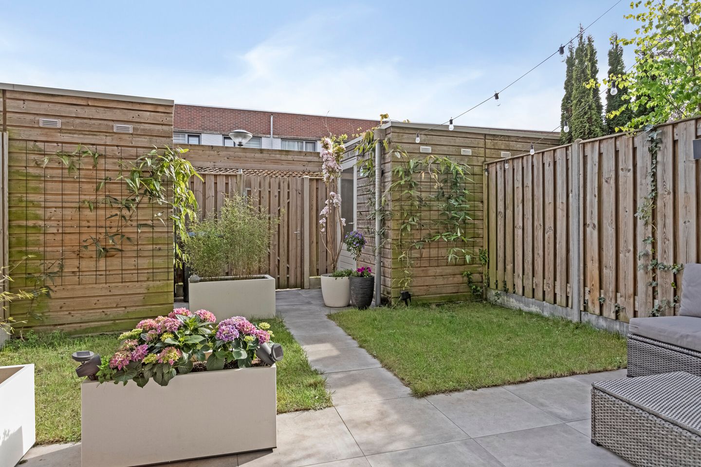 Foto 25 van Eekhoorn 41