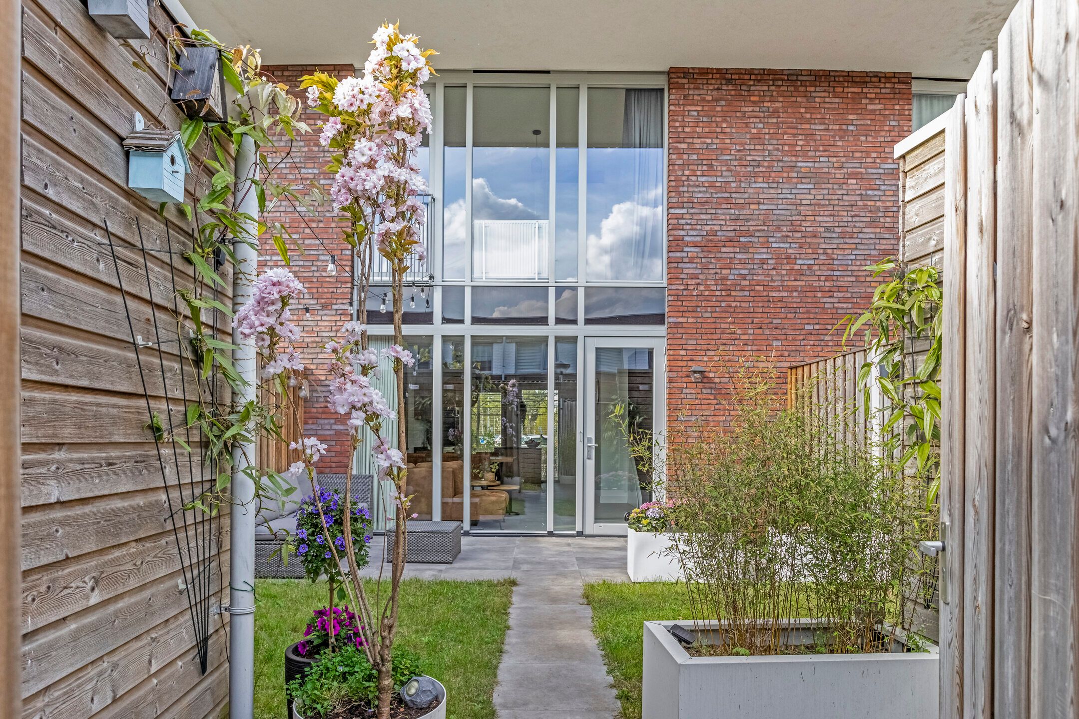 Foto 27 van Eekhoorn 41