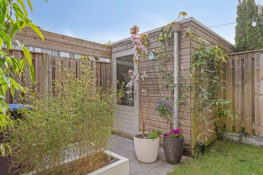 Foto 28 van Eekhoorn 41