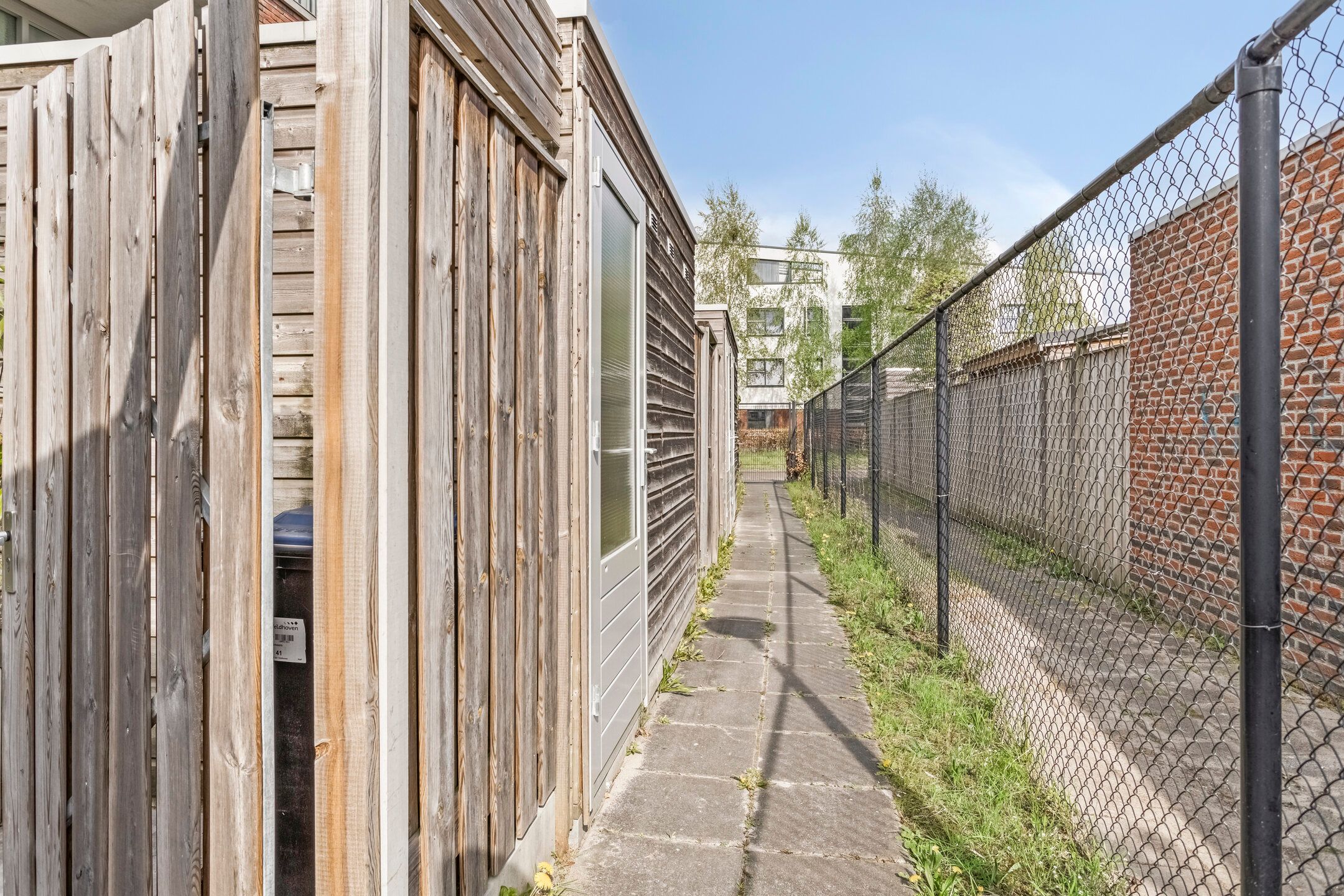 Foto 30 van Eekhoorn 41