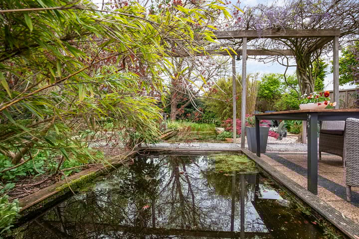 Foto 39 van Belvedère 8