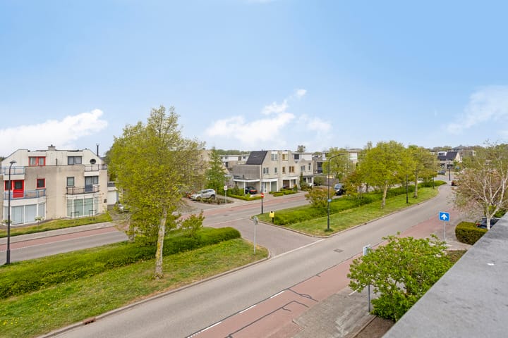 Foto 42 van Gibbon 7