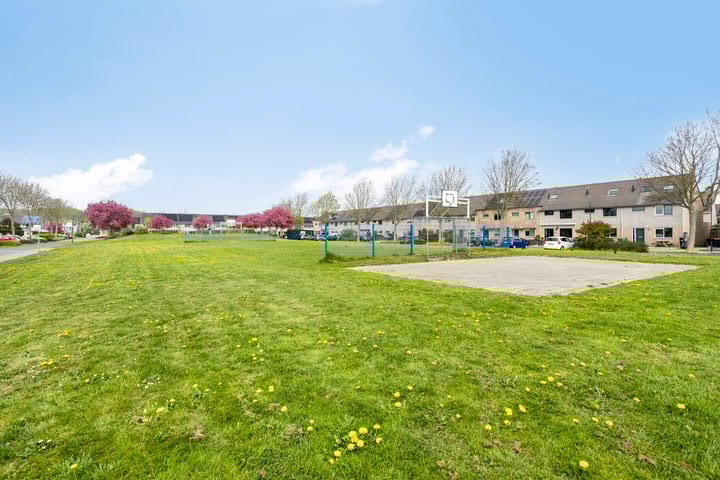 Foto 58 van Gibbon 7