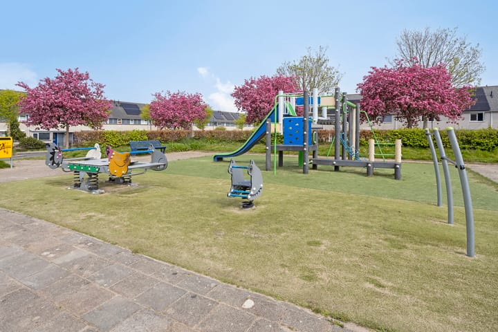 Foto 59 van Gibbon 7