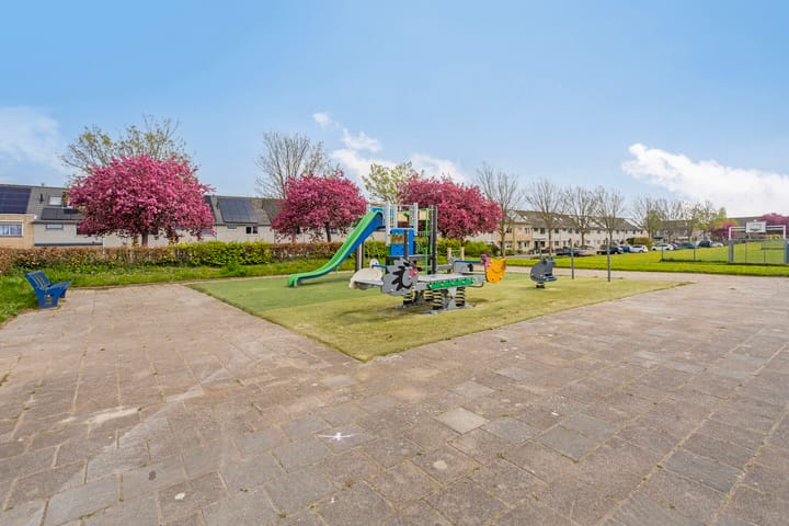 Foto 60 van Gibbon 7