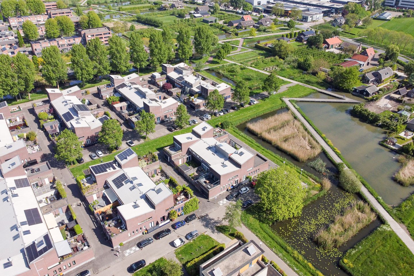 Foto 35 van Panamahof 1