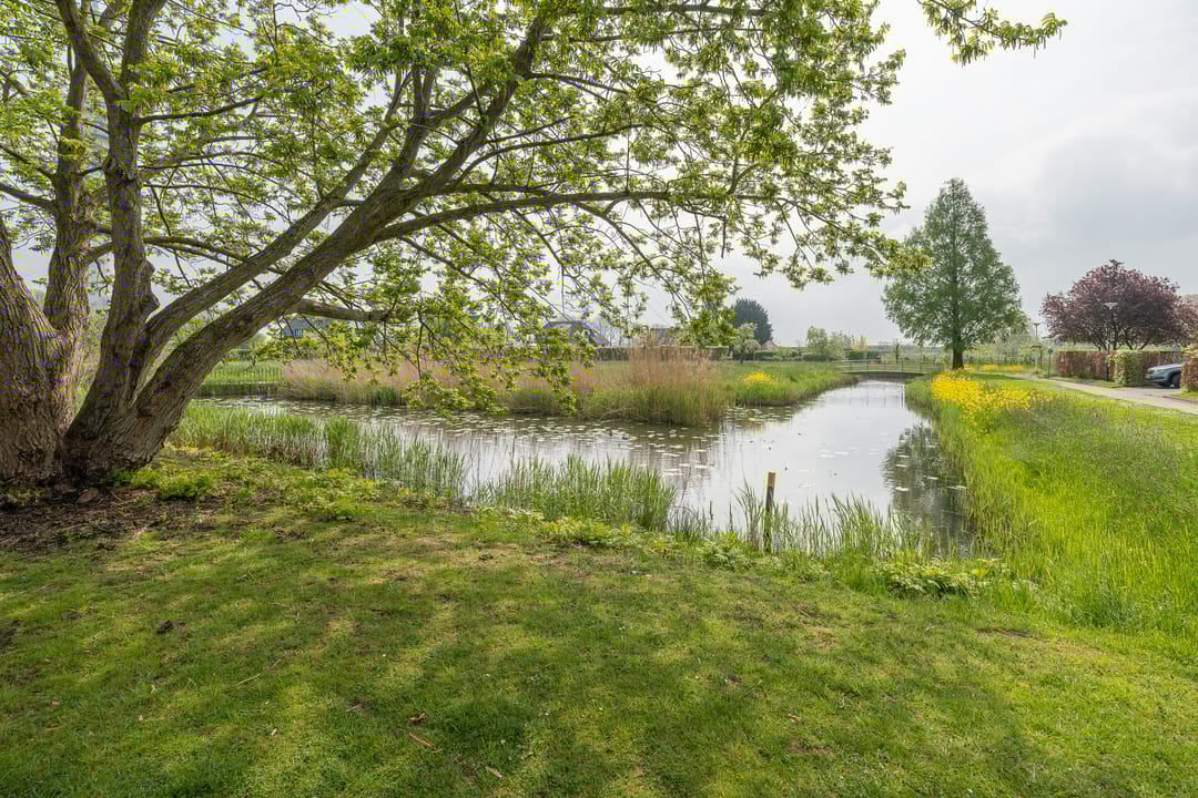 Foto 41 van Panamahof 1