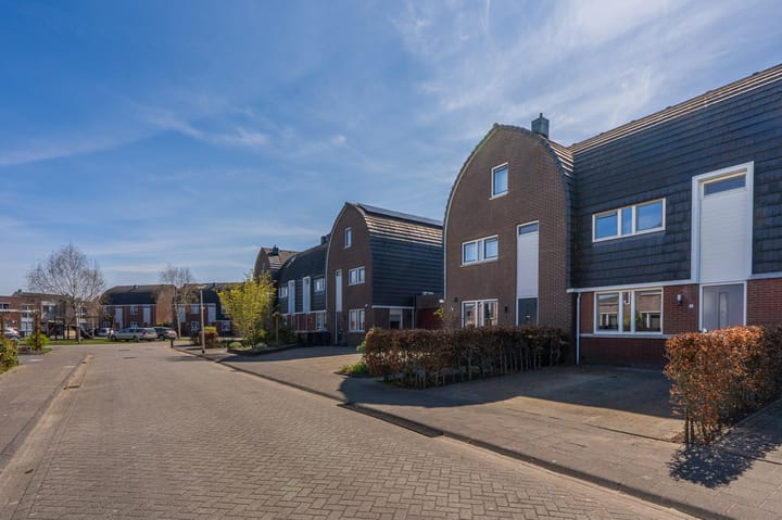 Foto 7 van Bosroos 6