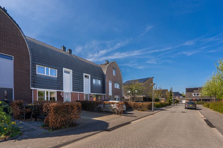 Foto 8 van Bosroos 6