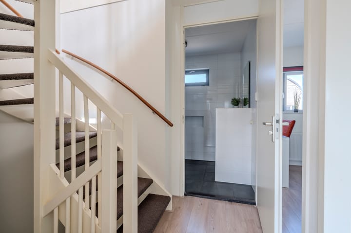 Foto 22 van Bosroos 6